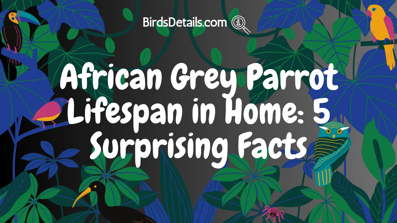 African Grey Parrot Lifespan in Home