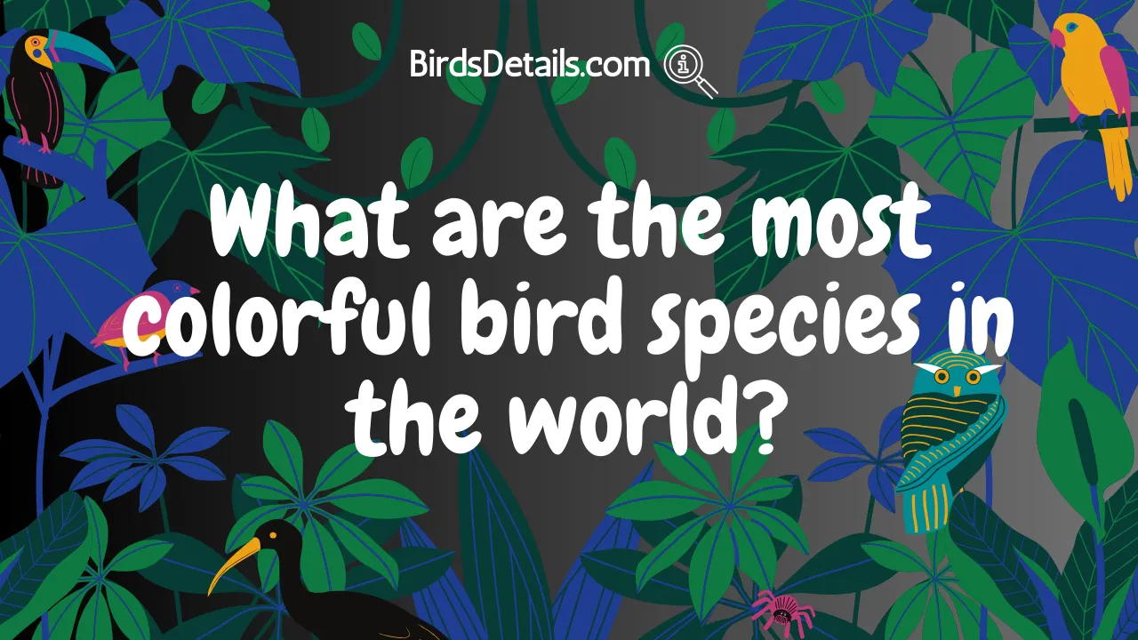 Most Colorful Bird Species in The World