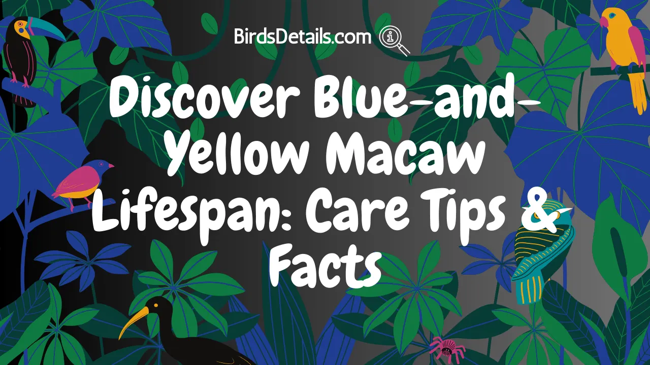 Blue-and-Yellow Macaw Lifespan
