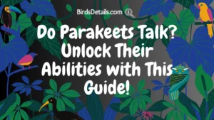 Do Parakeets Talk