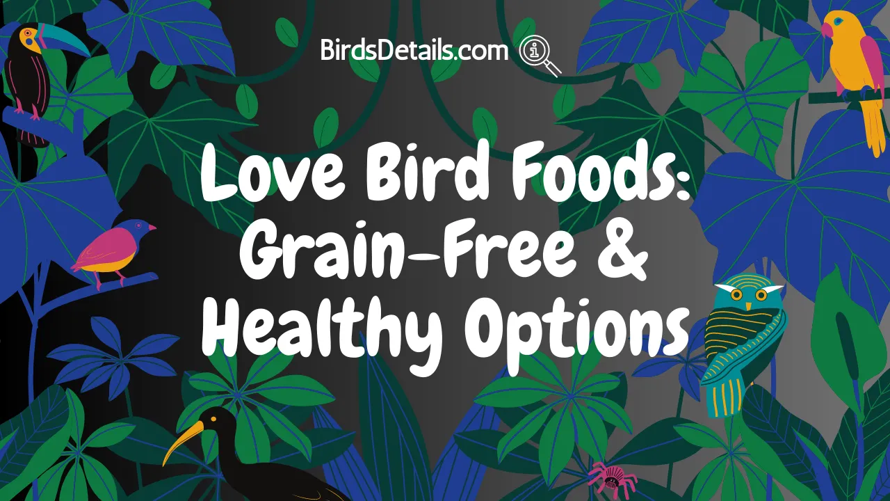Love Bird Foods
