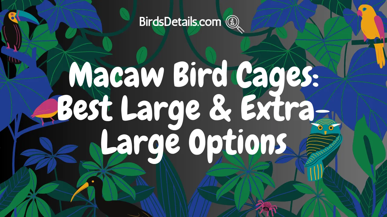 Macaw Bird Cages