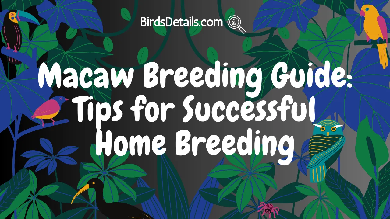 Macaw Breeding Guide