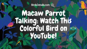 Macaw Parrot Talking
