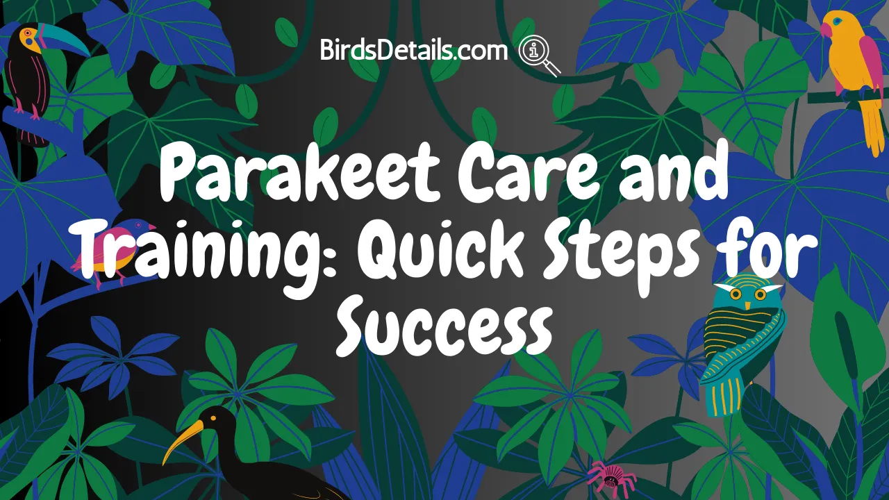 Parakeet Care and Training