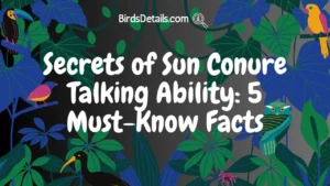 Sun Conure Talking Ability