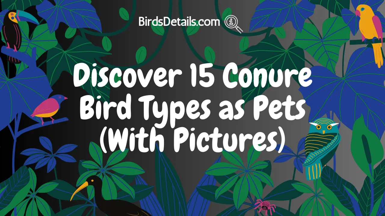 15 Conure Bird Types