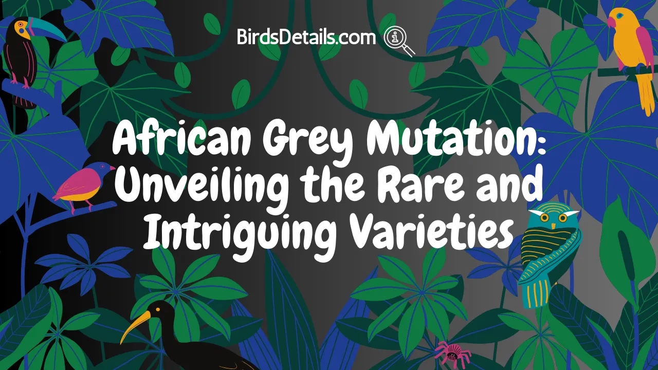African Grey Mutation