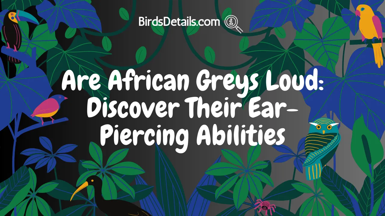 Are African Greys Loud
