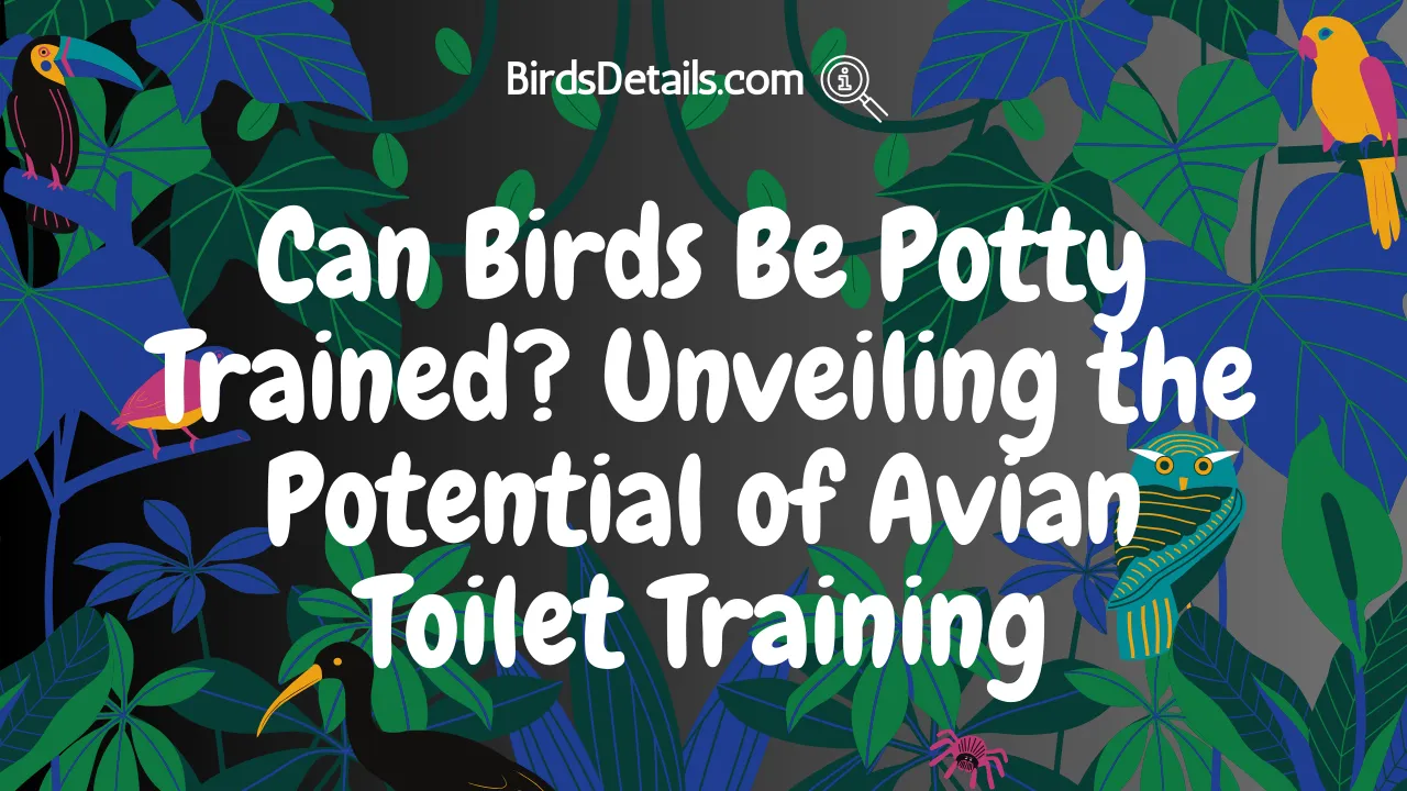Can Birds Be Potty Trained