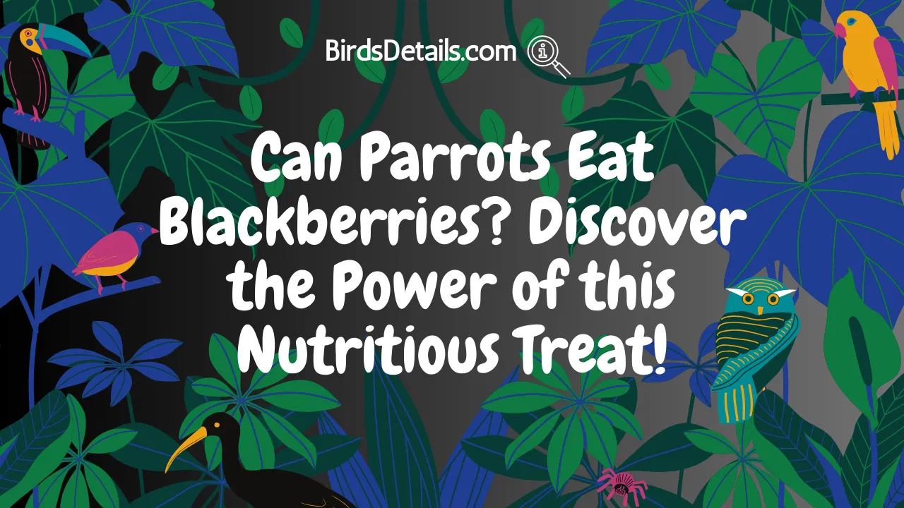 Can Parrots Eat Blackberries