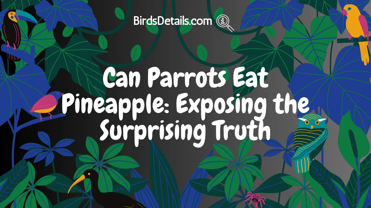 Can Parrots Eat Pineapple