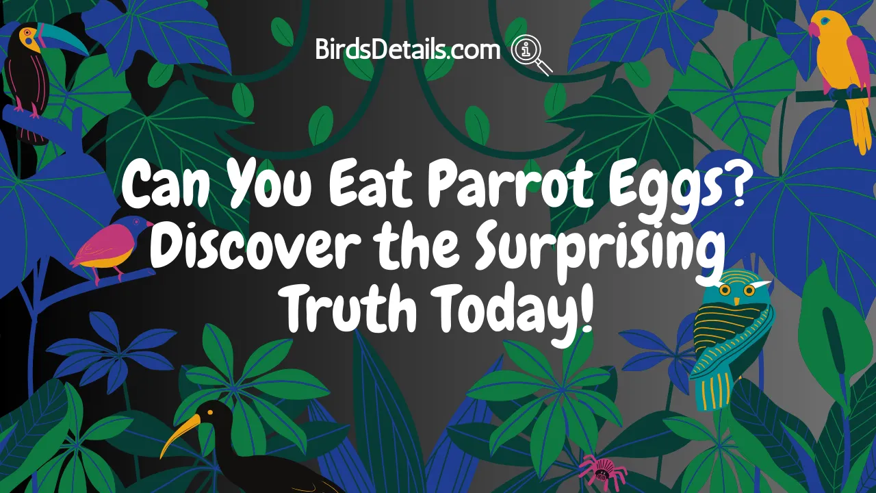 Can You Eat Parrot Eggs