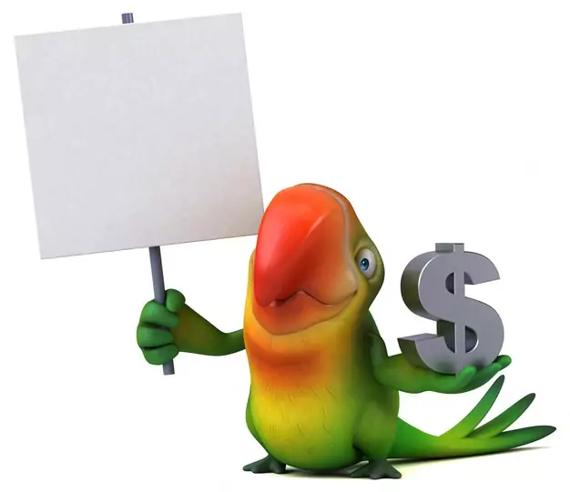 Cost of Owning a Macaw