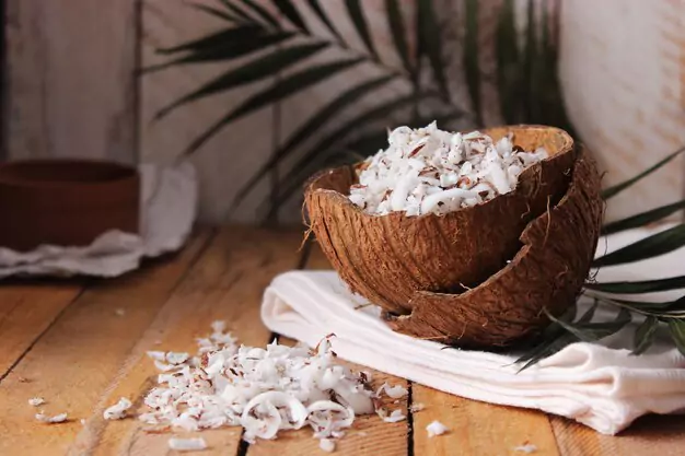 Creative Coconut-Based Recipes For Birds