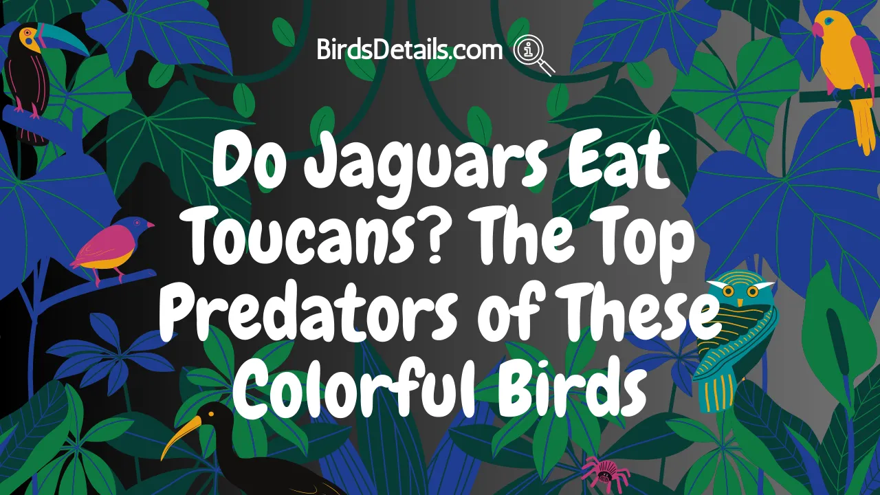 Do Jaguars Eat Toucans