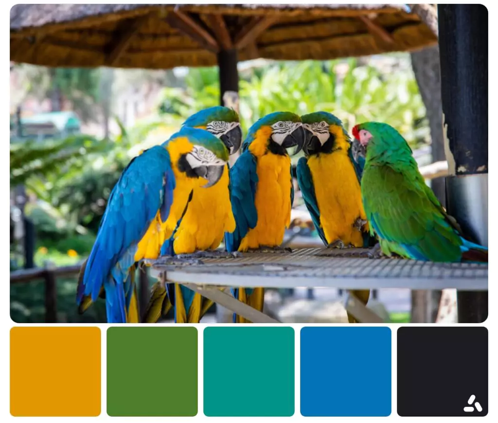 Exploring The Vibrant Palettes Of These Fascinating Birds