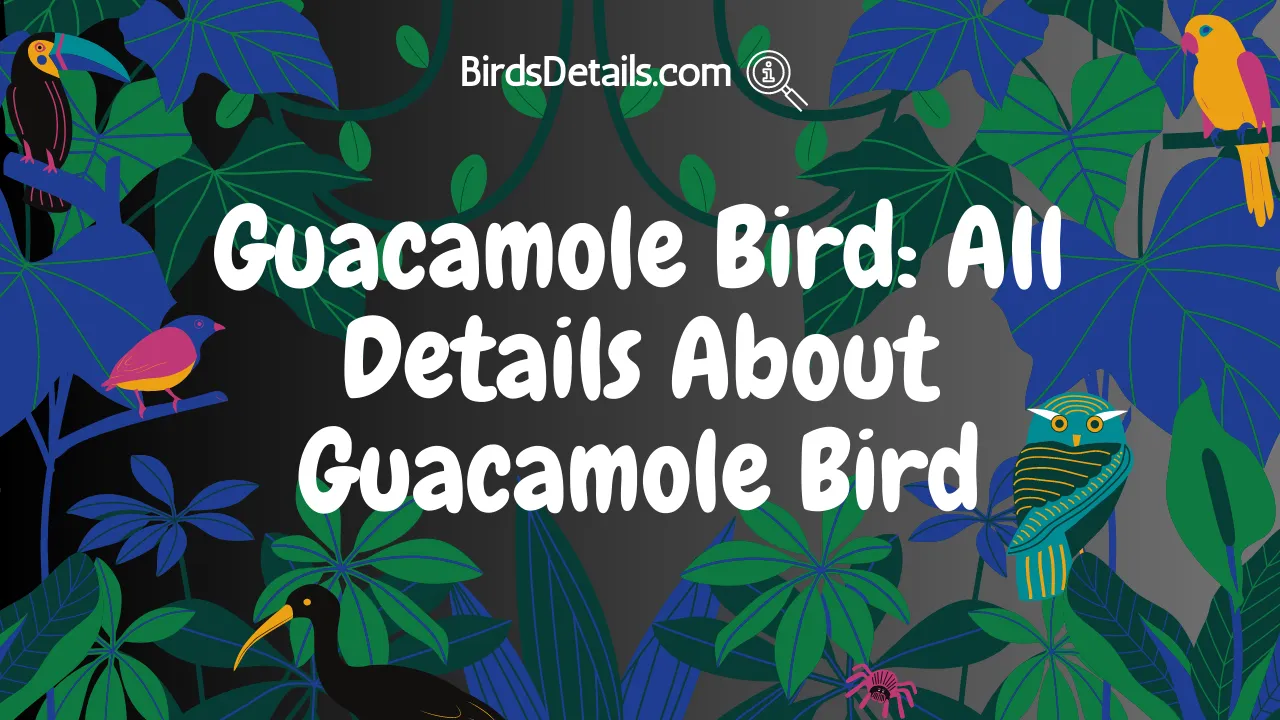 Guacamole Bird