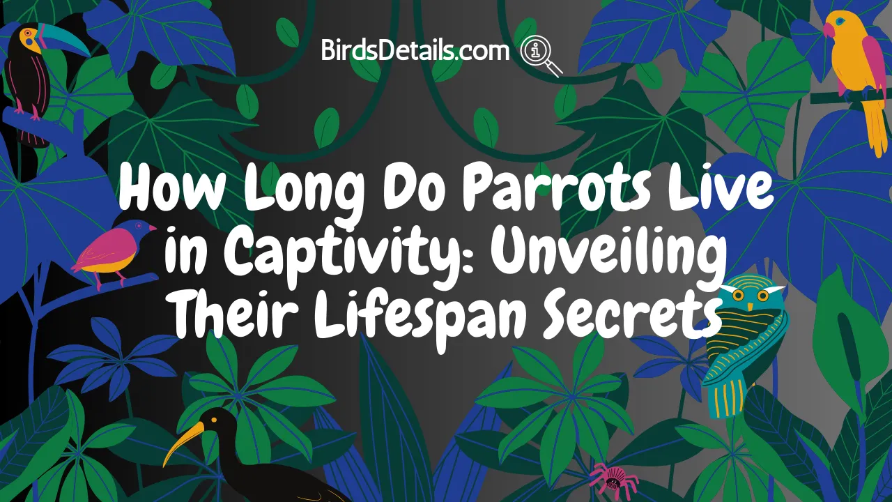 How Long Do Parrots Live in Captivity