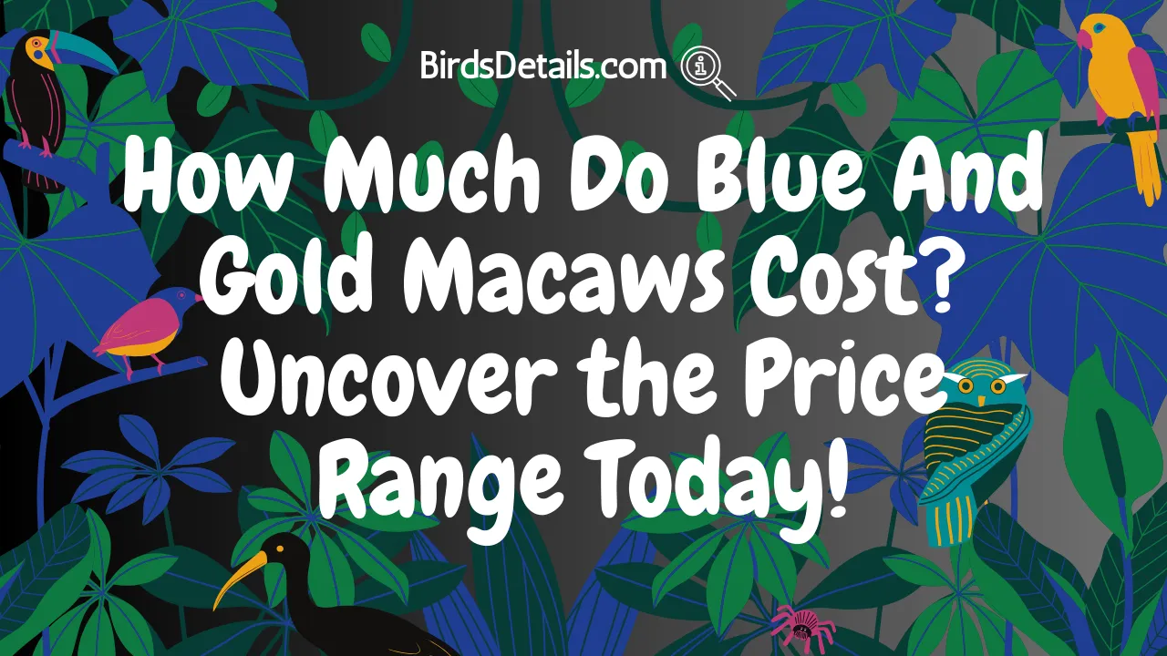 How Much Do Blue And Gold Macaws Cost