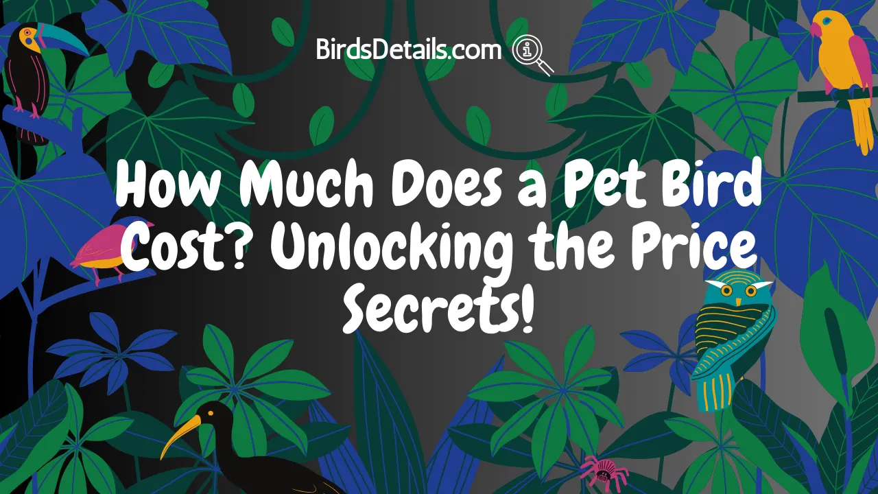 How Much Does a Pet Bird Cost
