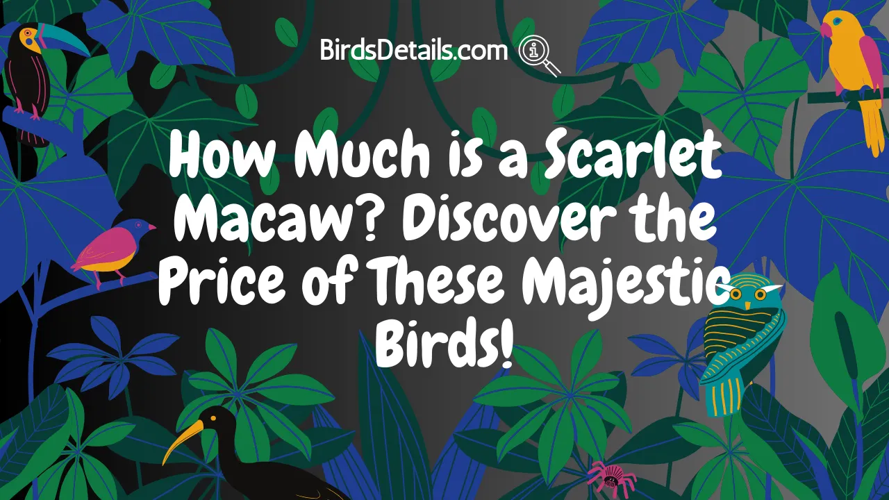 How Much is a Scarlet Macaw