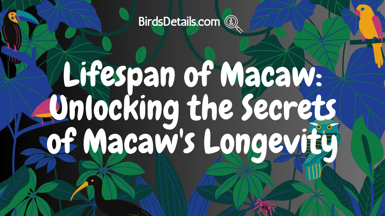 Lifespan of Macaw