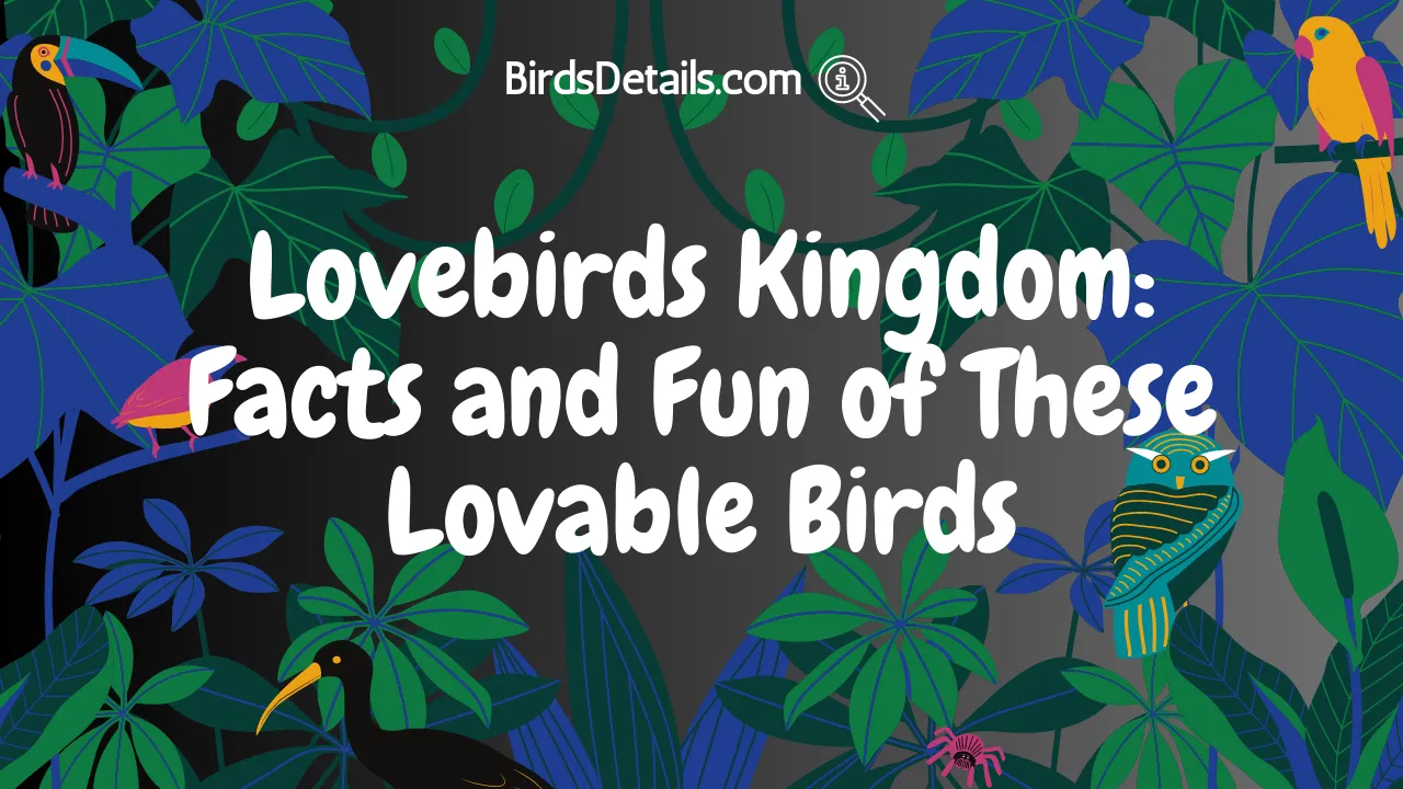 Lovebirds Kingdom