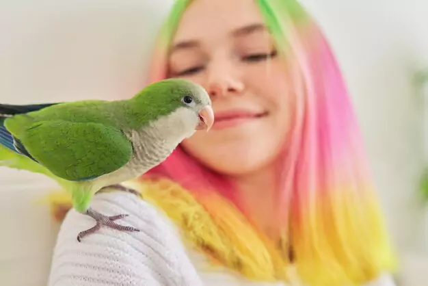 Lovebirds as a Pet