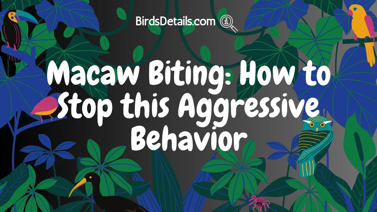 Macaw Biting