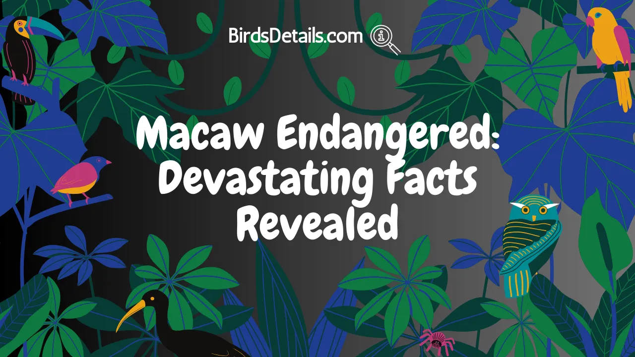 Macaw Endangered