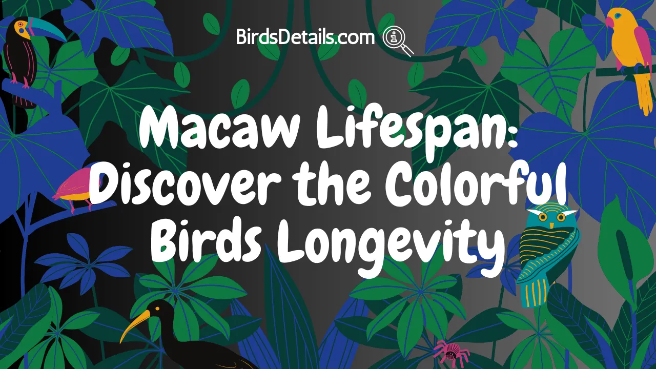 Macaw Lifespan