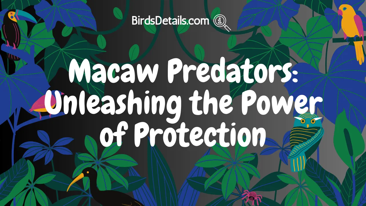 Macaw Predators