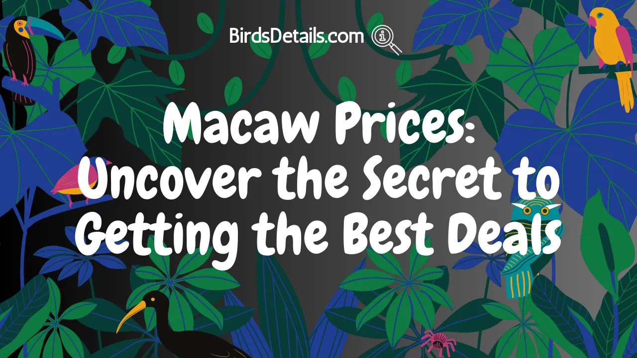 Macaw Prices
