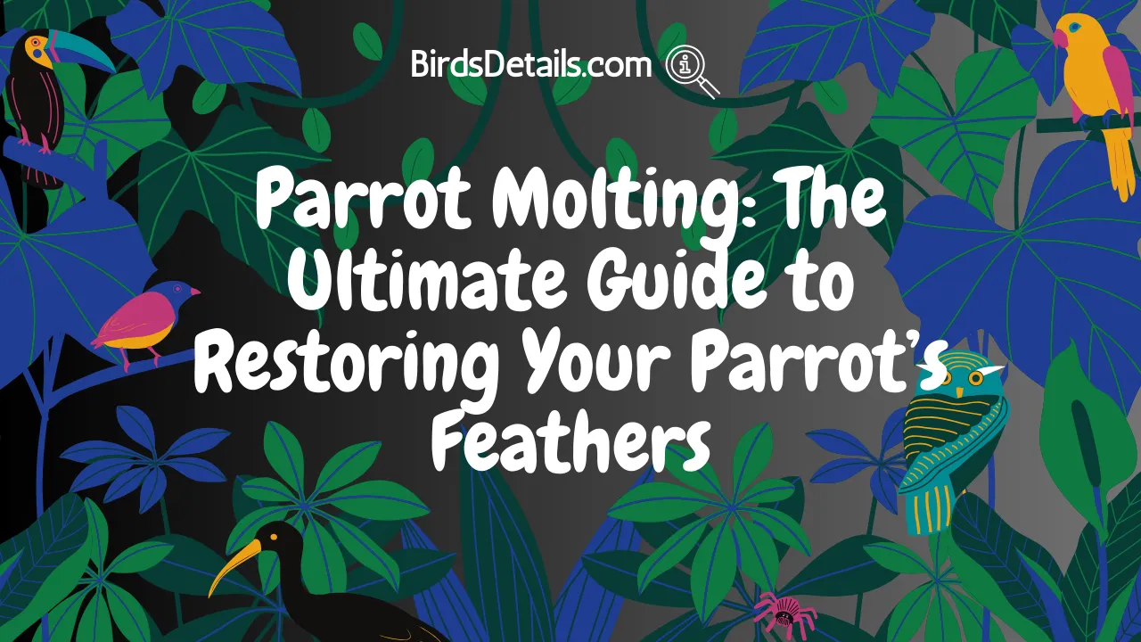 Parrot Molting