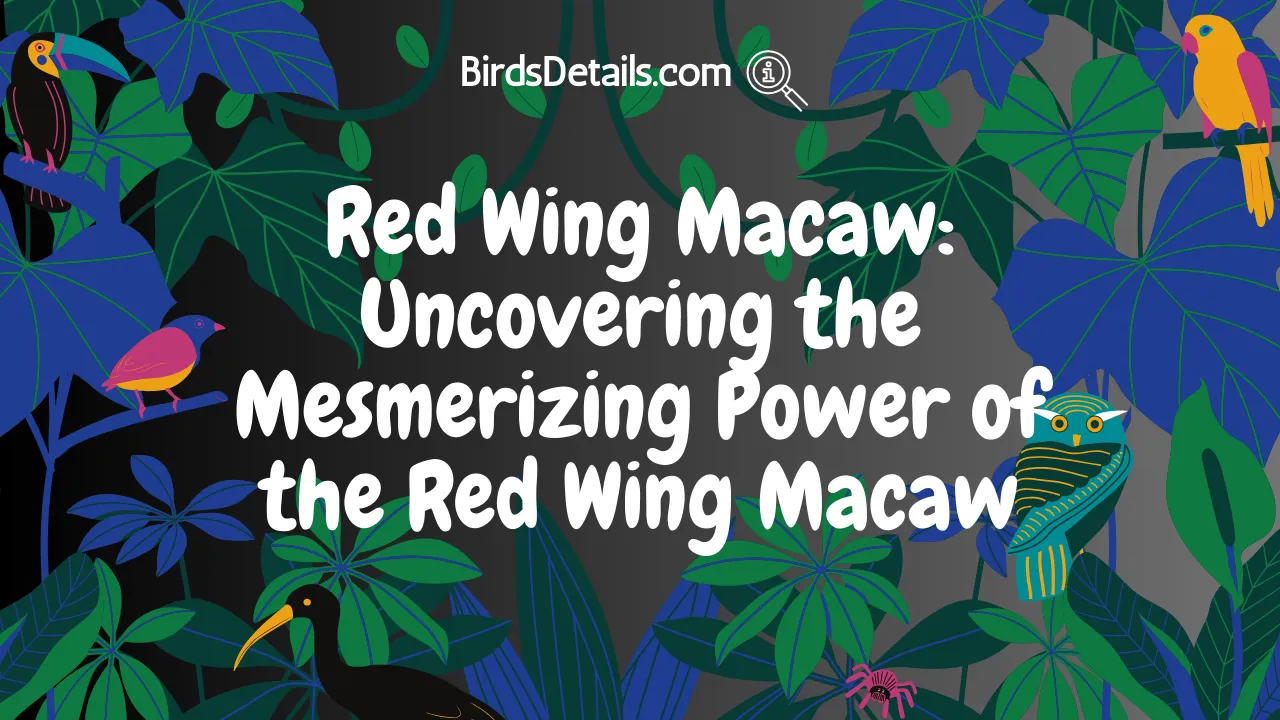 Red Wing Macaw