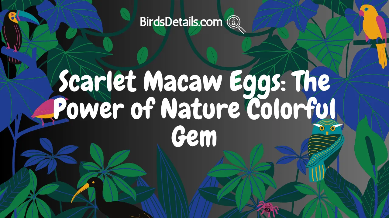 Scarlet Macaw Eggs