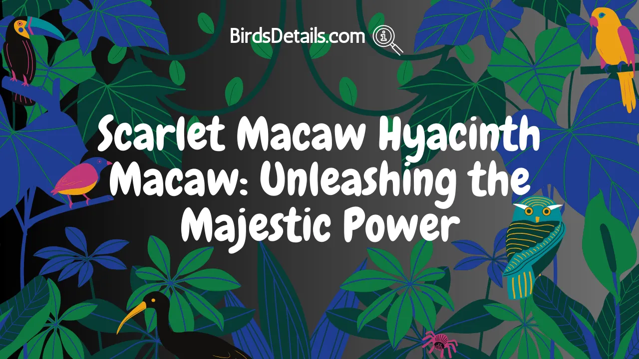 Scarlet Macaw Hyacinth Macaw