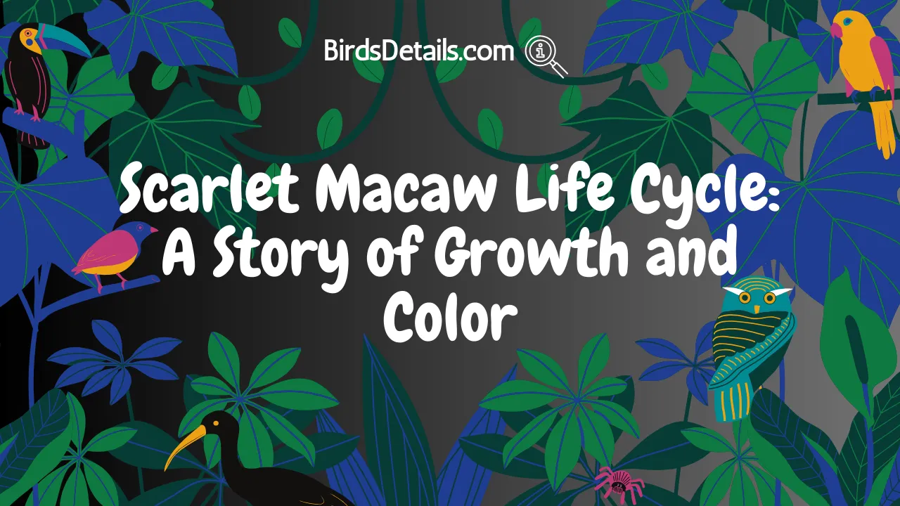 Scarlet Macaw Life Cycle