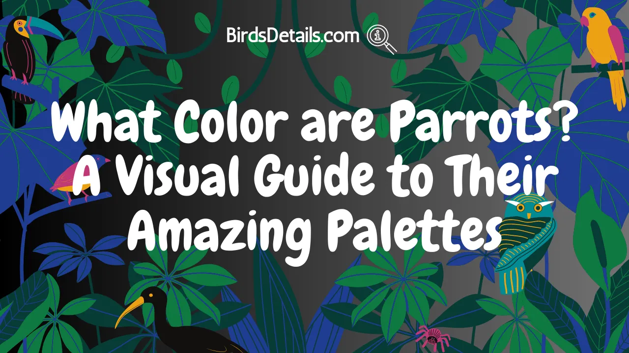 What Color are Parrots