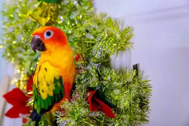 What Makes The Camelot Macaw A Majestic Parrot