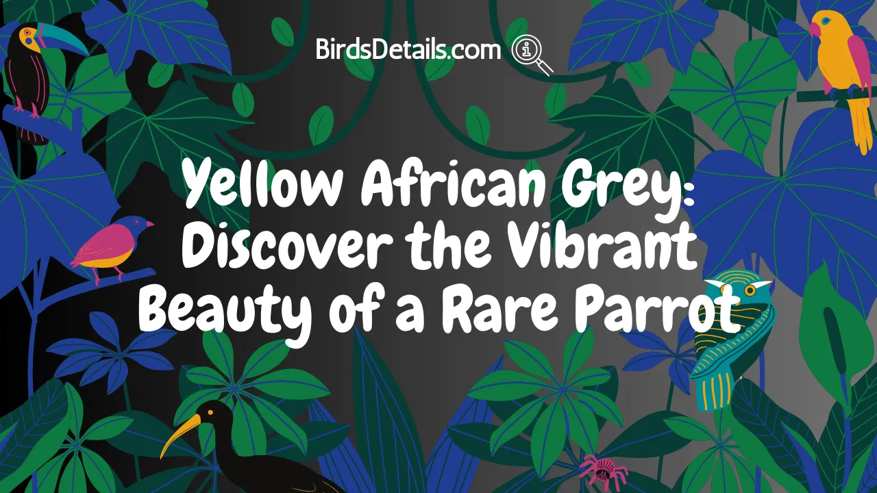 Yellow African Grey
